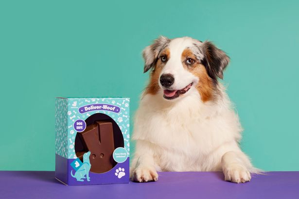 Deliveroo will send your DOG a pet-safe Easter egg today