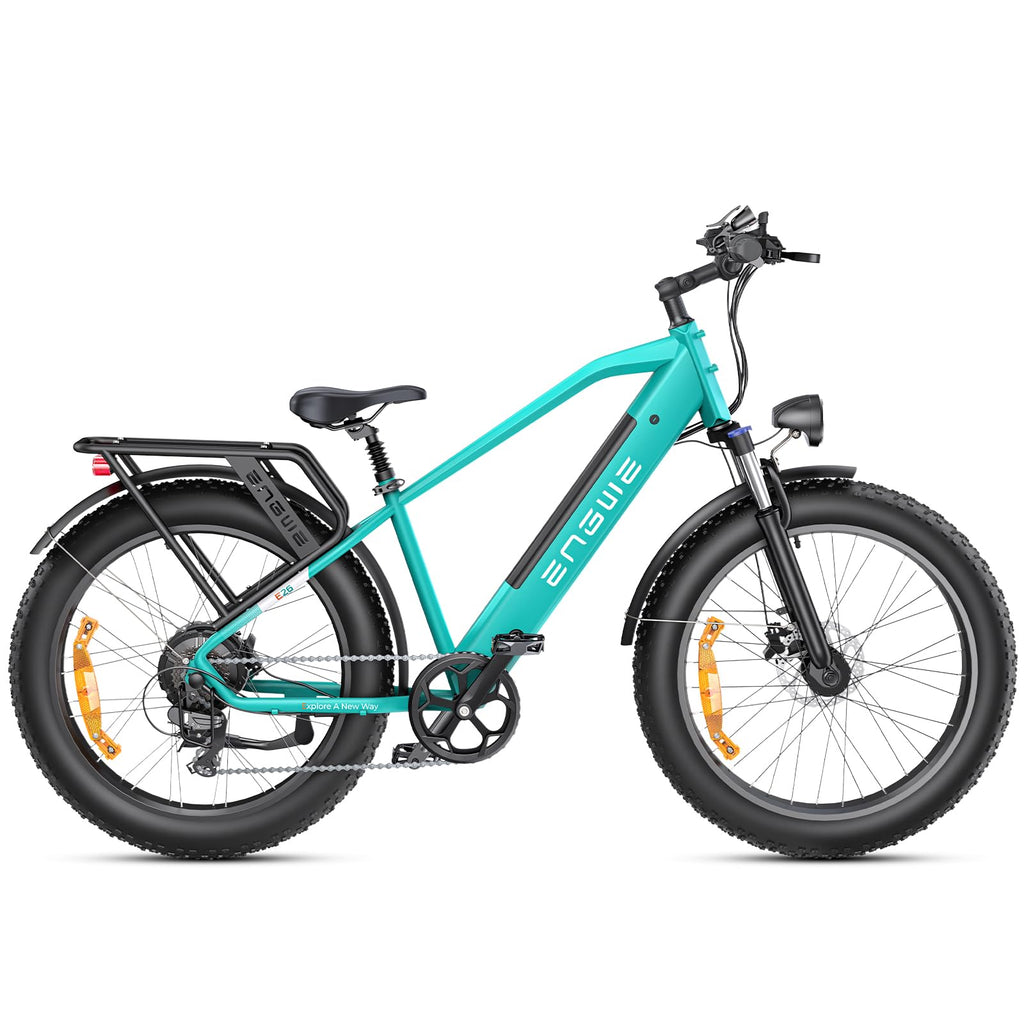 ENGWE E26 Electric Bike E-Bike for Adults with 26"x4.0" Fat Tire,250W E Mountain Bike 48V 16Ah Battery Range Up to 140KM, Speed-7 Dual Suspension All-Terrain Ebike MTB