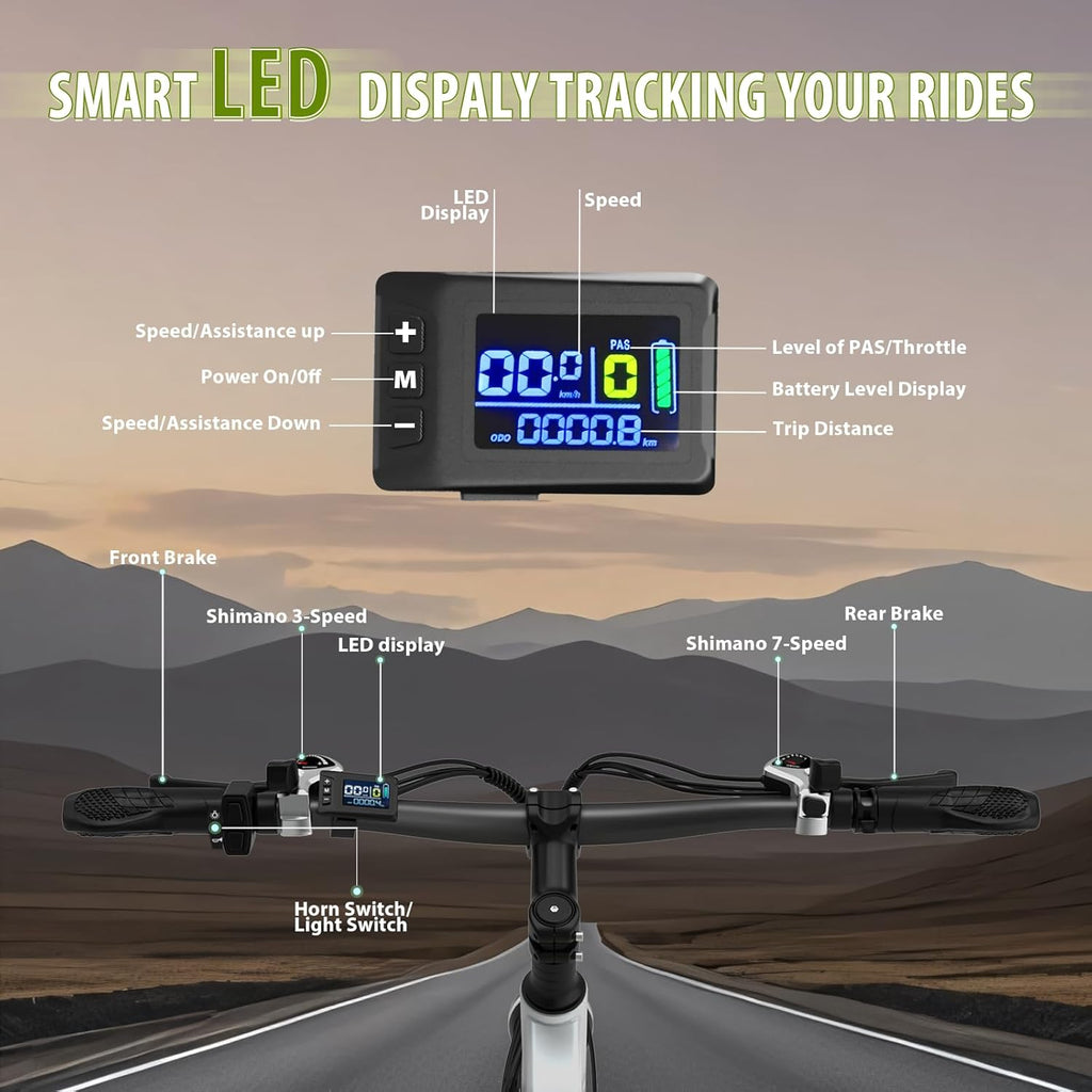 Mens Electric Bike 29" Off-Road & City E Bike, 250W Motor, 36V 15Ah Battery, 25km/h, 21-Speed, Hydraulic Suspension, 180mm Disc Brake, LED Display & Headlight, Up to 90km Range, 150kg Max Load