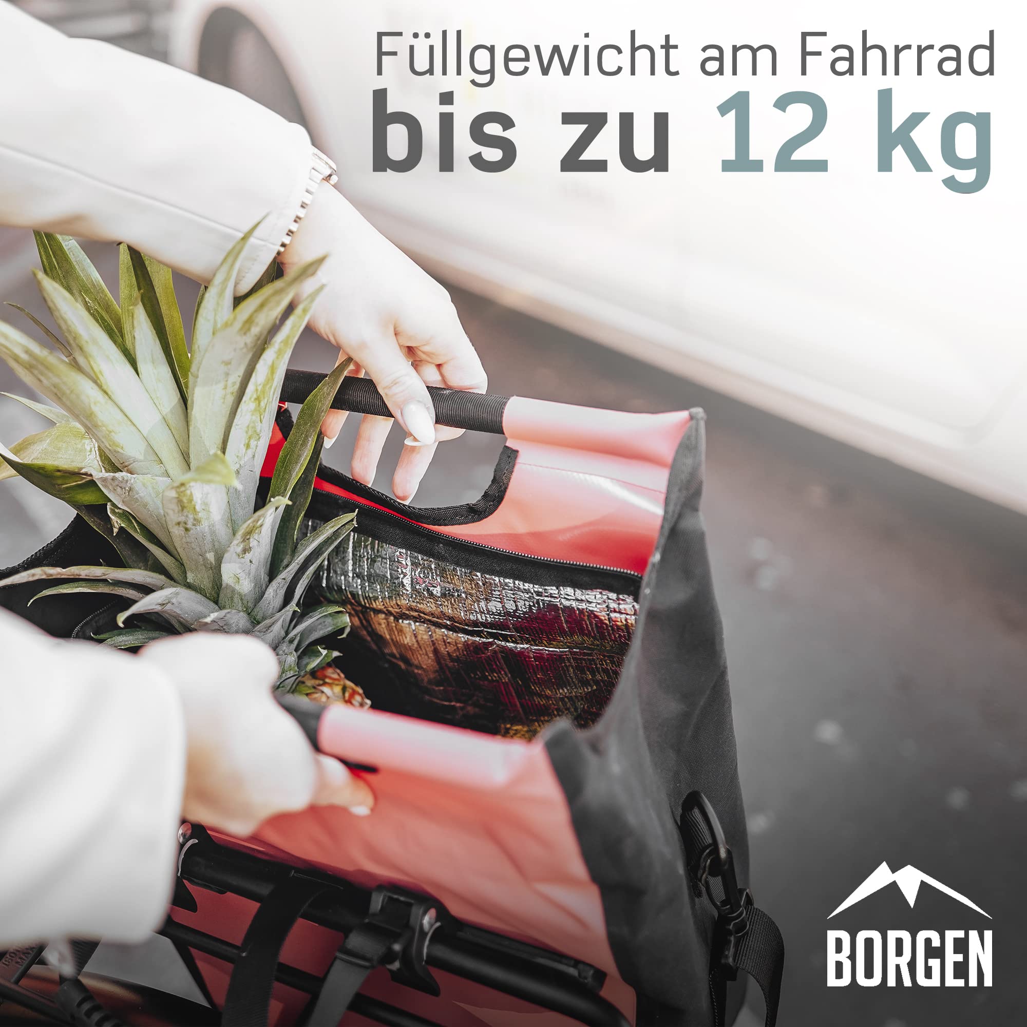 Borgen Bicycle Shopping Luggage Rack Bag - 23L with Removable Cooling Insert - Usable as Bicycle and Carrier Bag