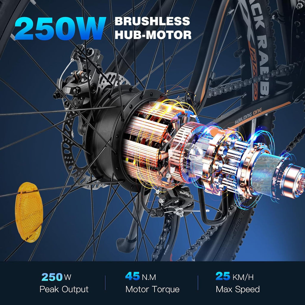 Fafrees 26 INCHES Electric Bikes for Adults, 36V 13Ah Removable Battery Pedal Assist Ebikes for Men Ladies, 250W Electric Bicycle for City, 25KM/H 21-Speed MTB, 26 HAILONG ONE