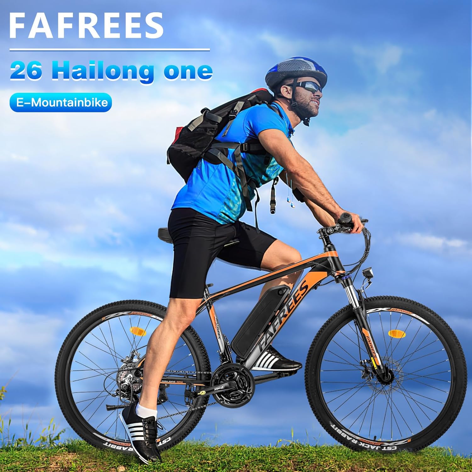 Fafrees 26 INCHES Electric Bikes for Adults, 36V 13Ah Removable Battery Pedal Assist Ebikes for Men Ladies, 250W Electric Bicycle for City, 25KM/H 21-Speed MTB, 26 HAILONG ONE