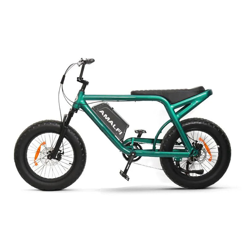 Delivery Rider 20-inch electric-assisted fat-tire snow bike 48v lithium battery