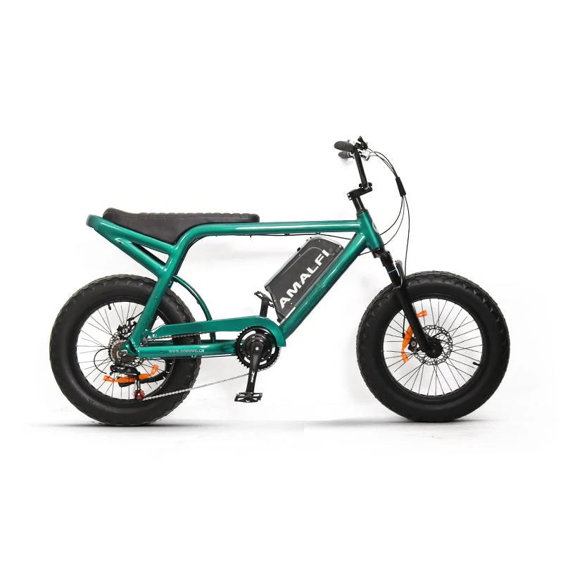 Delivery Rider 20-inch electric-assisted fat-tire snow bike 48v lithium battery